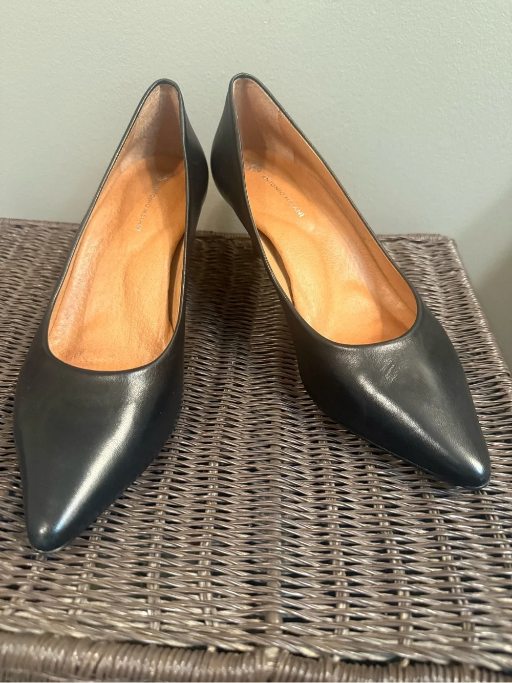 ANTONIO MELANI Black Pointed Leather Pumps